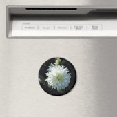 zazzle_white_Blume Magnet (In Situ (Geschirrspüler))