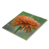 Zazzled Zinnia Tile Fliese (Seite)