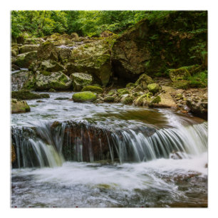 Zazzwasser Naturposterfarbe Poster