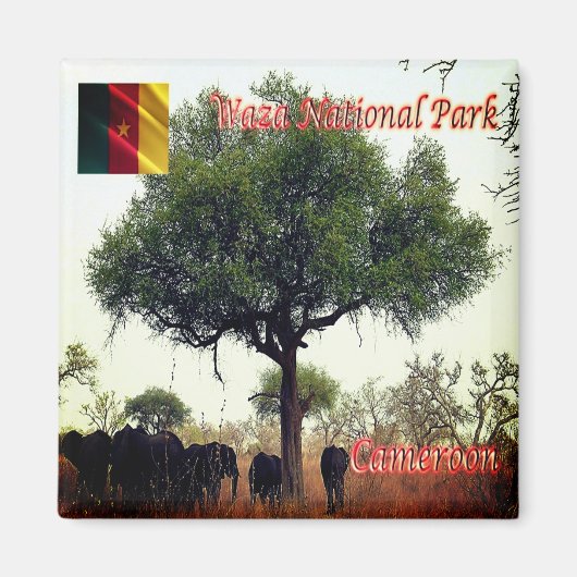 zCM007 WASA N.P. Camerron, Afrika, Kühlschrank Magnet (Vorne)