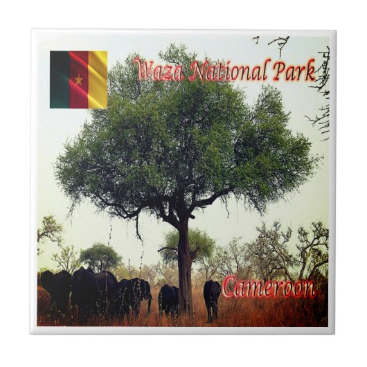 zCM07 WASA N.P. Camerron, Afrika, Fliese (Vorderseite)
