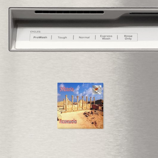 ZCY016 - NICOSIA Paphos Archeological Park - Magnet (In Situ (Geschirrspüler))