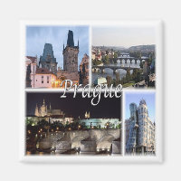 zCZ005 PRAG Tschechische Republik, Kühlschrank