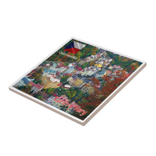 zCZ019 KARLOVY VARY Tschechische Republik, Fliese