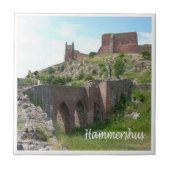 zDK006 HAMMERHSHUS, Friesen-Inseln, Fliese (Vorderseite)