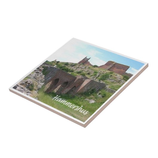 zDK006 HAMMERHSHUS, Friesen-Inseln, Fliese (Seite)