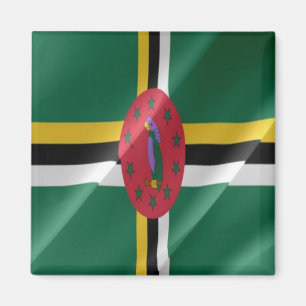 zDM002 DOMINICA, Waving Flag, Amerika, Kühlschrank Magnet