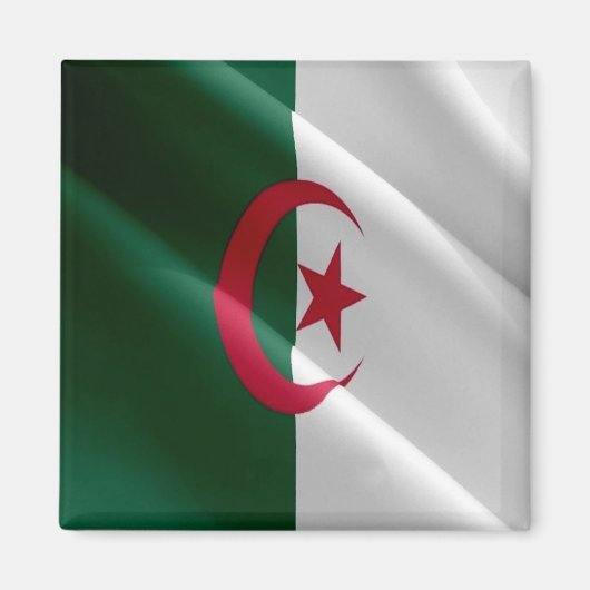 zDZ002 ALGERIA, Waving Flag, Afrika, Kühlschrank Magnet (Vorne)