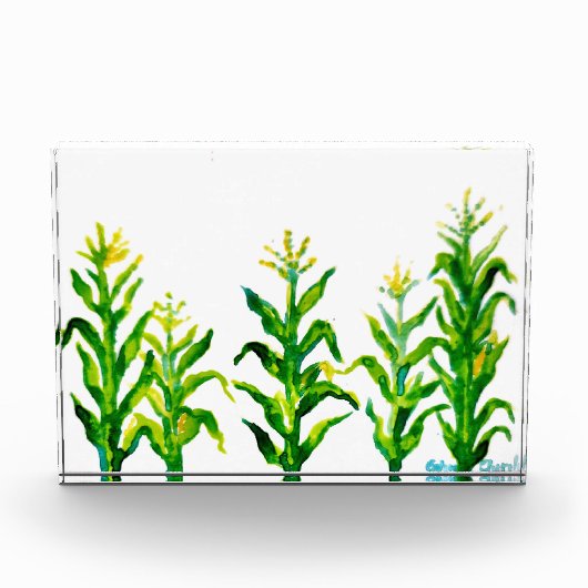 Zea mays fotoblock (Vorderseite)