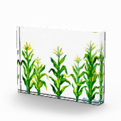 Zea mays fotoblock (Rechts)