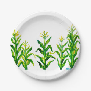 Zea mays pappteller