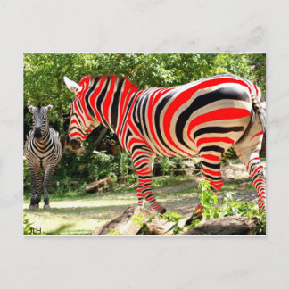 Zebhuh? durch JLH Postkarte