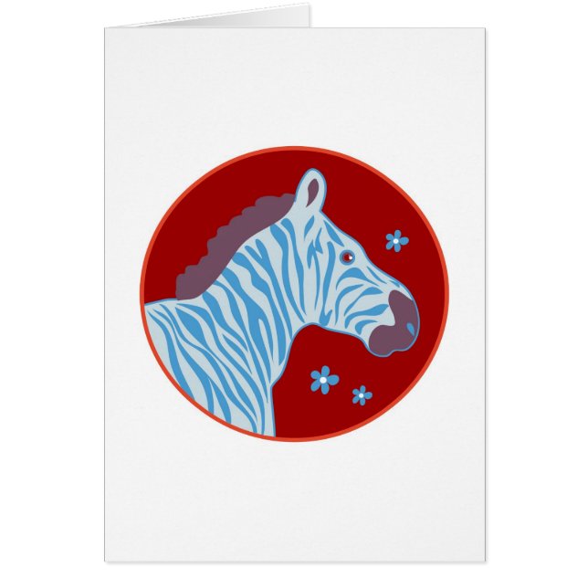 Zebra (Vorne)
