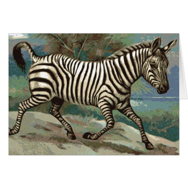 Zebra (Vorderseite (Horizontal))