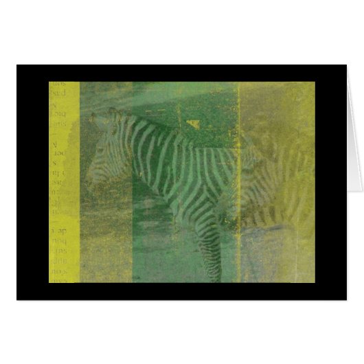 Zebra (Vorderseite (Horizontal))