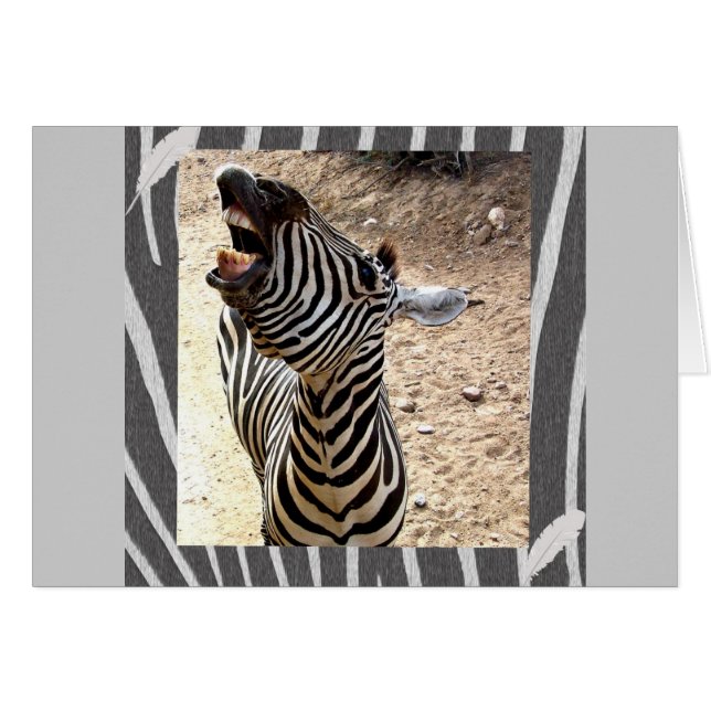 Zebra (Vorderseite (Horizontal))