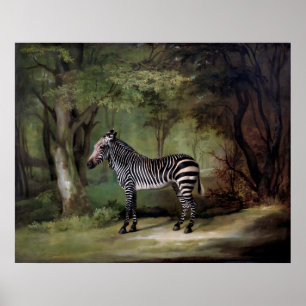 Zebra (1763) Gemälde  Poster