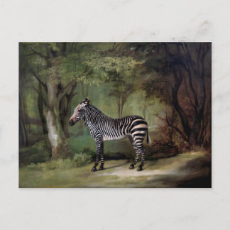Zebra (1763) Gemälde Postkarte