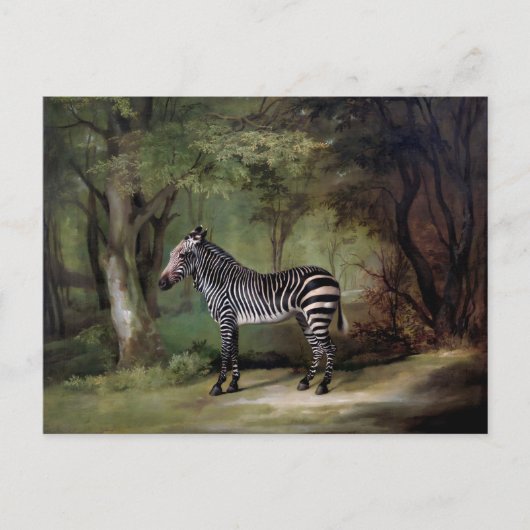 Zebra (1763) Gemälde Postkarte (Vorderseite)