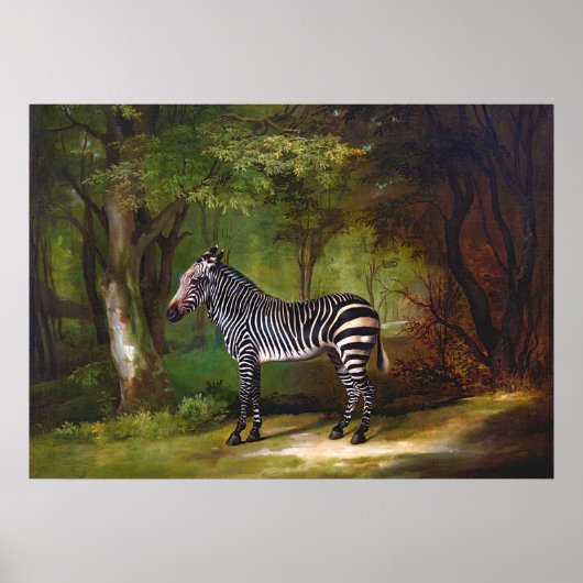 Zebra (1763) Gemälde von George Stubbs Poster (Vorne)