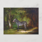 Zebra (1763) Gemälde von George Stubbs Postkarte (Vorderseite)