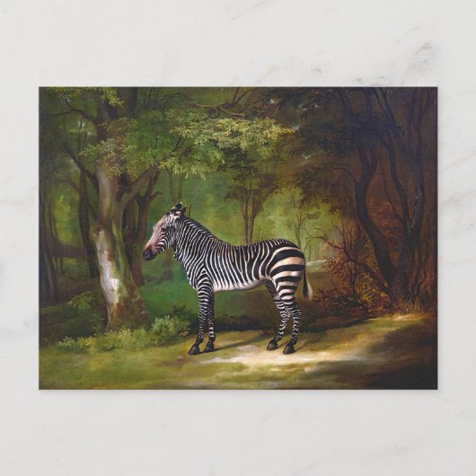 Zebra (1763) Gemälde von George Stubbs Postkarte (Vorderseite)