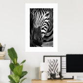 Zebra #1 poster (Heimbüro)
