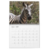 Zebra 2010 kalender (Mär 2027)