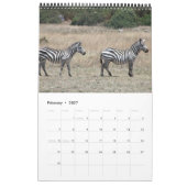 Zebra 2011 Single Kalender (Feb 2027)