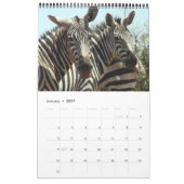 Zebra 2011 Single Kalender (Jan 2027)