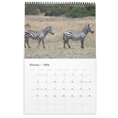 Zebra 2011 Single Kalender (Feb 2026)