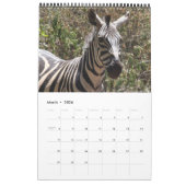 Zebra 2011 Single Kalender (Mär 2026)