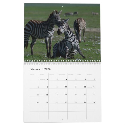 Zebra 2025 kalender (Feb 2026)
