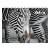 Zebra 2025 kalender (Titelbild)