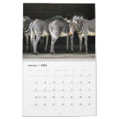 Zebra 2025 kalender (Jan 2026)