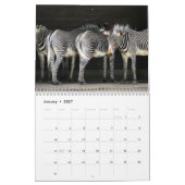 Zebra 2025 kalender (Jan 2027)