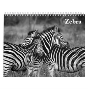 Zebra 2025 kalender