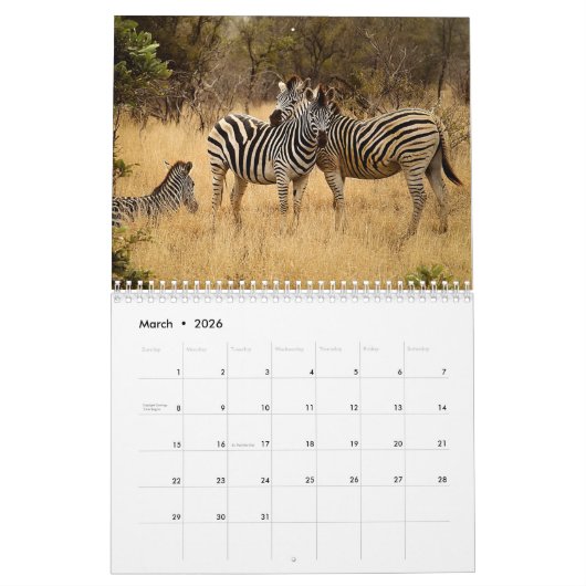 Zebra 2025 kalender (Mär 2026)