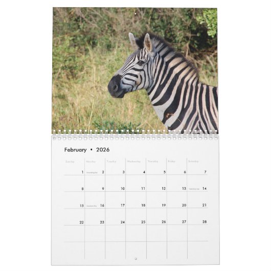 Zebra 2025 kalender (Feb 2026)