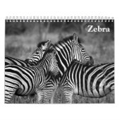 Zebra 2025 kalender (Titelbild)