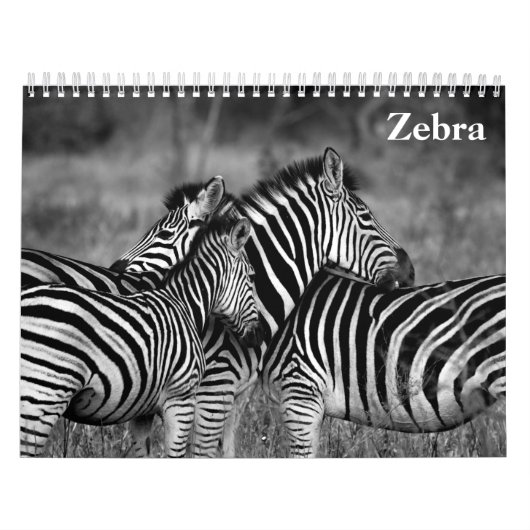 Zebra 2025 kalender (Titelbild)