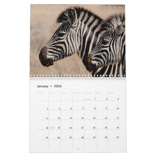 Zebra 2025 kalender (Jan 2026)