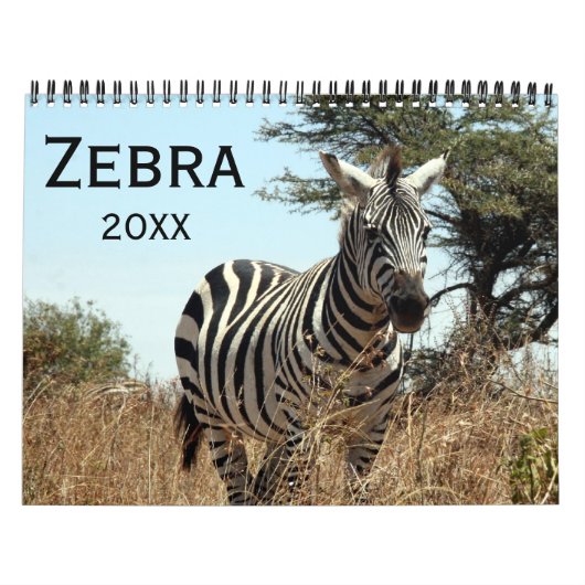 Zebra 2026 kalender (Titelbild)