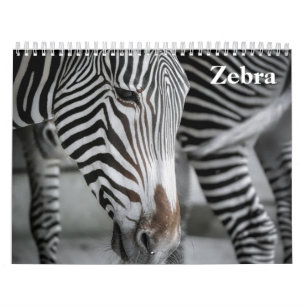 Zebra 2027 kalender