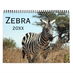 Zebra 2027 kalender
