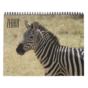 Zebra 2027 kalender