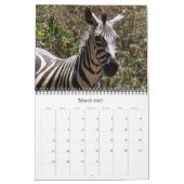 Zebra 2027 kalender (Mär 2027)