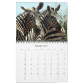 Zebra 2027 kalender (Jan 2027)