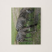 Zebra #2 Jigsaw Puzzle (Vertikal)