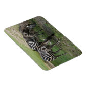 Zebra #2 Magnet (Rechte Seite)